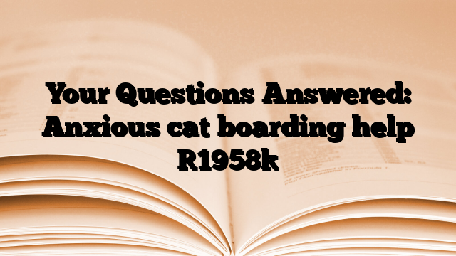 Your Questions Answered: Anxious cat boarding help