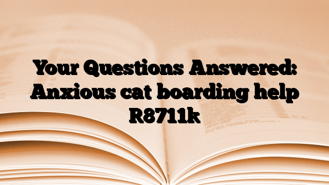 Your Questions Answered: Anxious cat boarding help