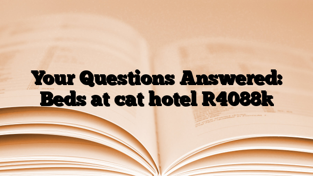 Your Questions Answered: Beds at cat hotel