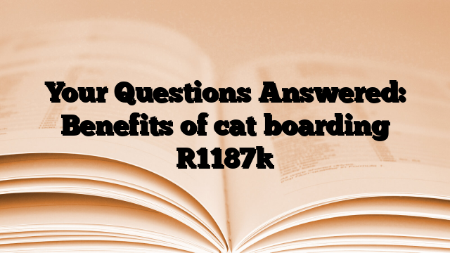 Your Questions Answered: Benefits of cat boarding