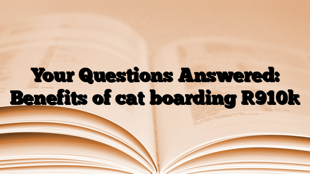 Your Questions Answered: Benefits of cat boarding