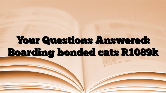 Your Questions Answered: Boarding bonded cats
