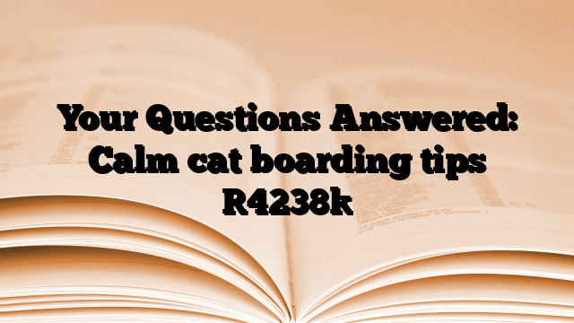 Your Questions Answered: Calm cat boarding tips
