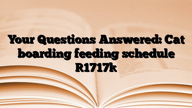 Your Questions Answered: Cat boarding feeding schedule