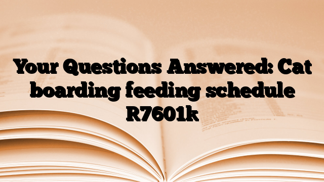 Your Questions Answered: Cat boarding feeding schedule