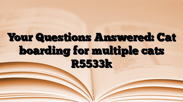 Your Questions Answered: Cat boarding for multiple cats