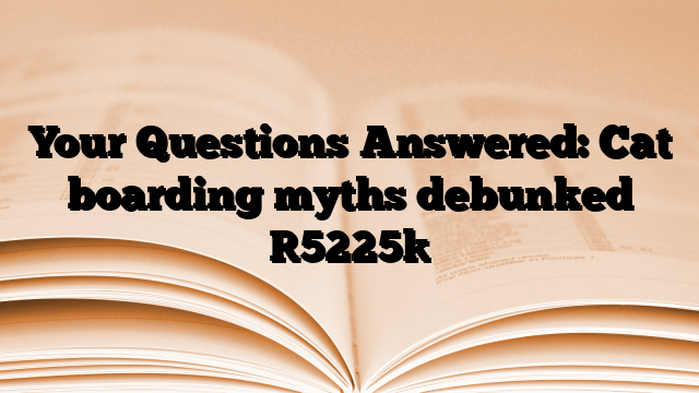 Your Questions Answered: Cat boarding myths debunked