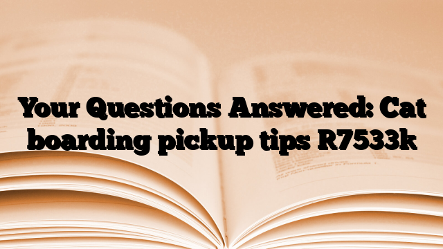 Your Questions Answered: Cat boarding pickup tips