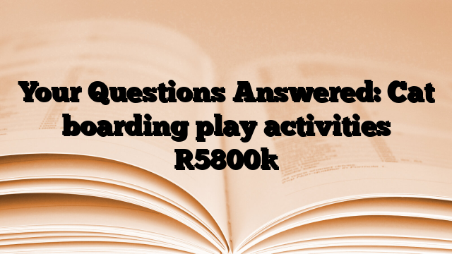 Your Questions Answered: Cat boarding play activities