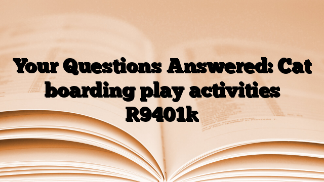 Your Questions Answered: Cat boarding play activities