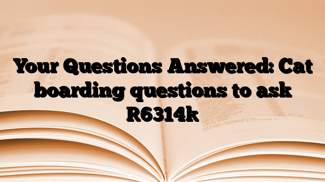 Your Questions Answered: Cat boarding questions to ask