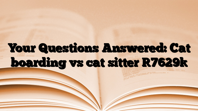 Your Questions Answered: Cat boarding vs cat sitter