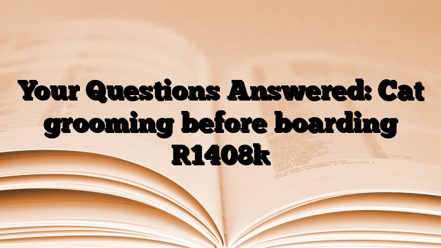 Your Questions Answered: Cat grooming before boarding