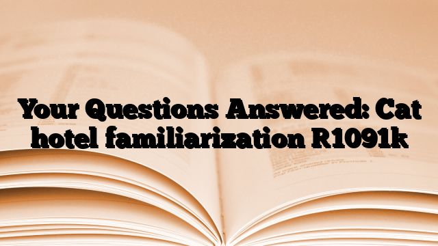 Your Questions Answered: Cat hotel familiarization