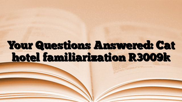 Your Questions Answered: Cat hotel familiarization