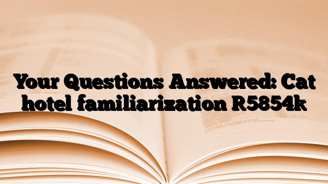 Your Questions Answered: Cat hotel familiarization