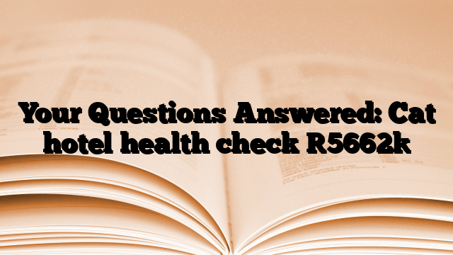 Your Questions Answered: Cat hotel health check