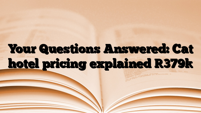 Your Questions Answered: Cat hotel pricing explained