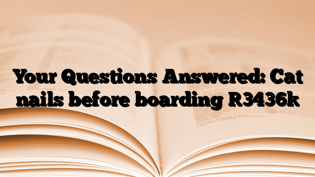 Your Questions Answered: Cat nails before boarding