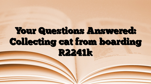 Your Questions Answered: Collecting cat from boarding