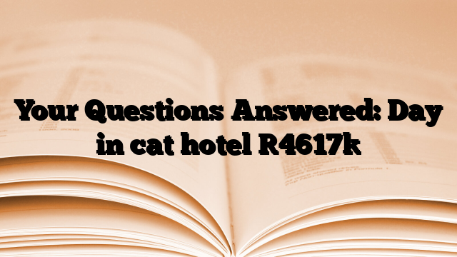 Your Questions Answered: Day in cat hotel