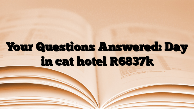 Your Questions Answered: Day in cat hotel