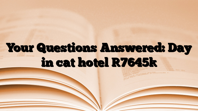 Your Questions Answered: Day in cat hotel