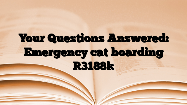 Your Questions Answered: Emergency cat boarding