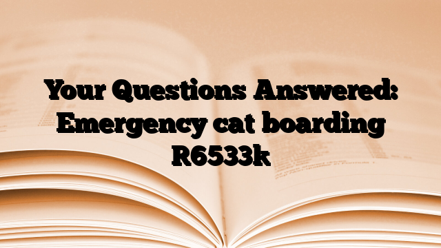 Your Questions Answered: Emergency cat boarding