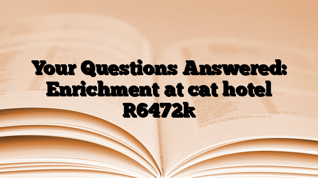 Your Questions Answered: Enrichment at cat hotel