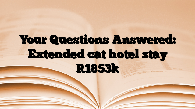 Your Questions Answered: Extended cat hotel stay