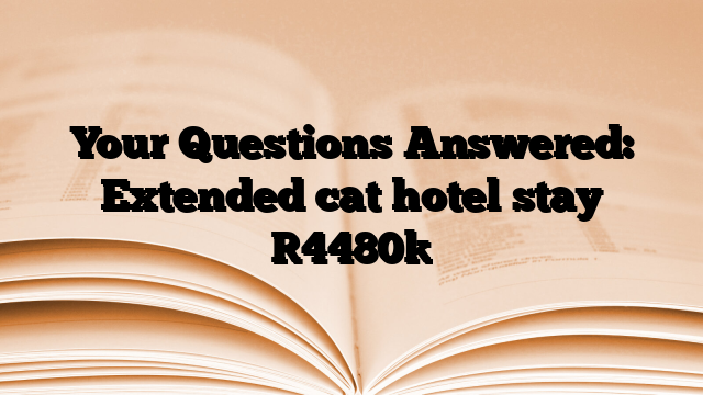 Your Questions Answered: Extended cat hotel stay