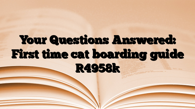 Your Questions Answered: First time cat boarding guide