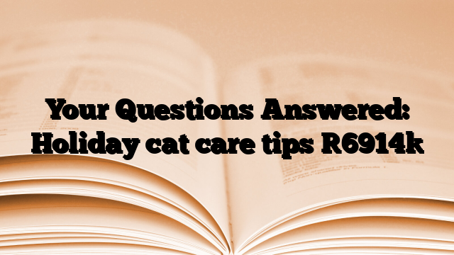 Your Questions Answered: Holiday cat care tips