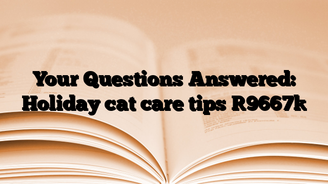 Your Questions Answered: Holiday cat care tips