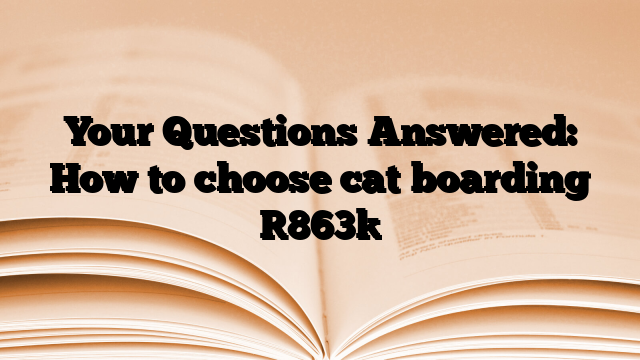 Your Questions Answered: How to choose cat boarding