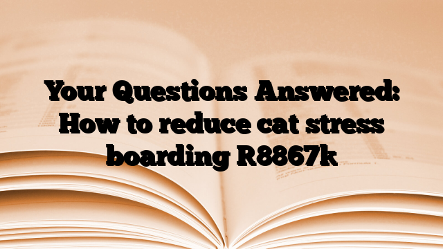 Your Questions Answered: How to reduce cat stress boarding