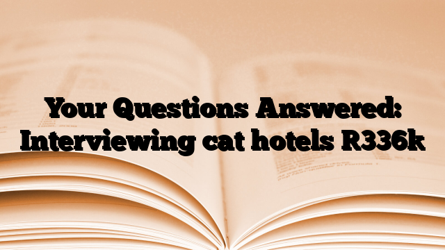 Your Questions Answered: Interviewing cat hotels