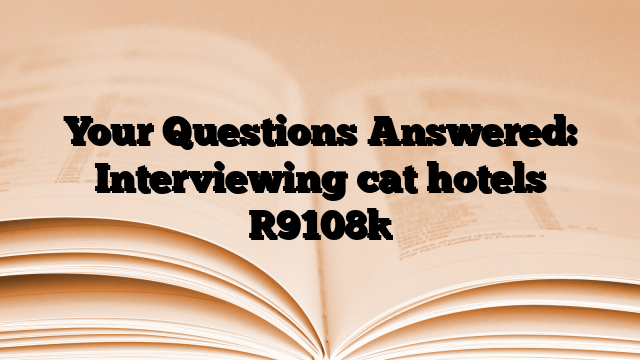 Your Questions Answered: Interviewing cat hotels