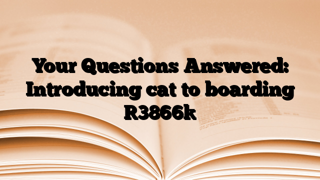 Your Questions Answered: Introducing cat to boarding