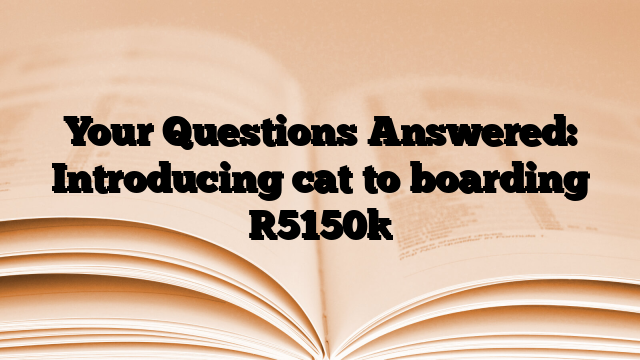 Your Questions Answered: Introducing cat to boarding