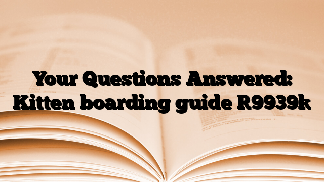 Your Questions Answered: Kitten boarding guide