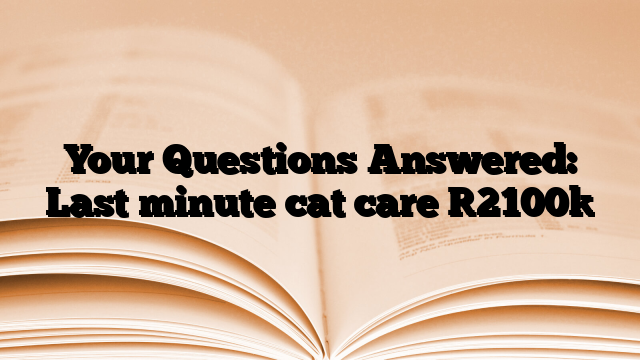 Your Questions Answered: Last minute cat care