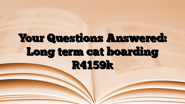 Your Questions Answered: Long term cat boarding