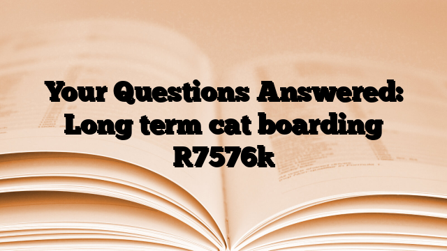 Your Questions Answered: Long term cat boarding
