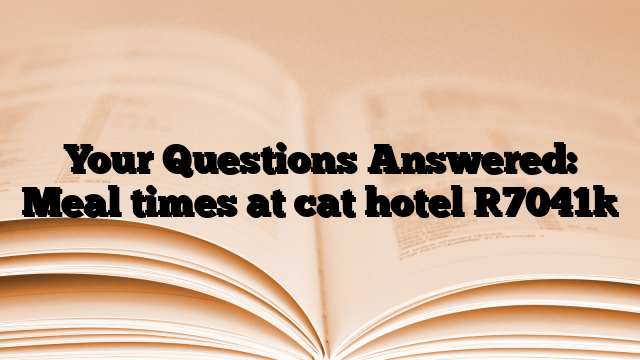 Your Questions Answered: Meal times at cat hotel