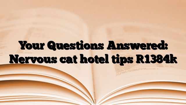 Your Questions Answered: Nervous cat hotel tips