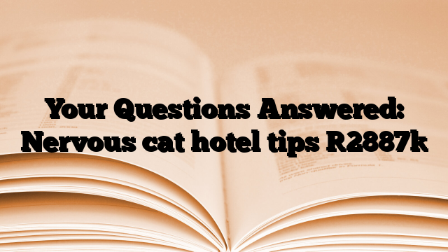 Your Questions Answered: Nervous cat hotel tips