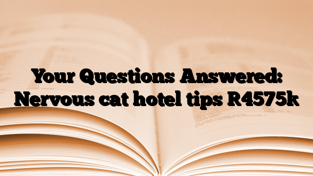 Your Questions Answered: Nervous cat hotel tips