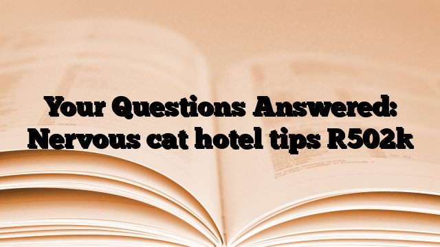 Your Questions Answered: Nervous cat hotel tips